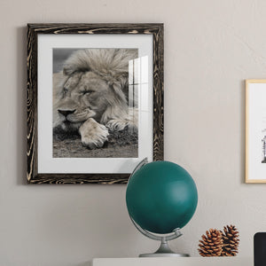 Sleepy Afternoon in Masai Mara - Barnwood Framed Art Print
