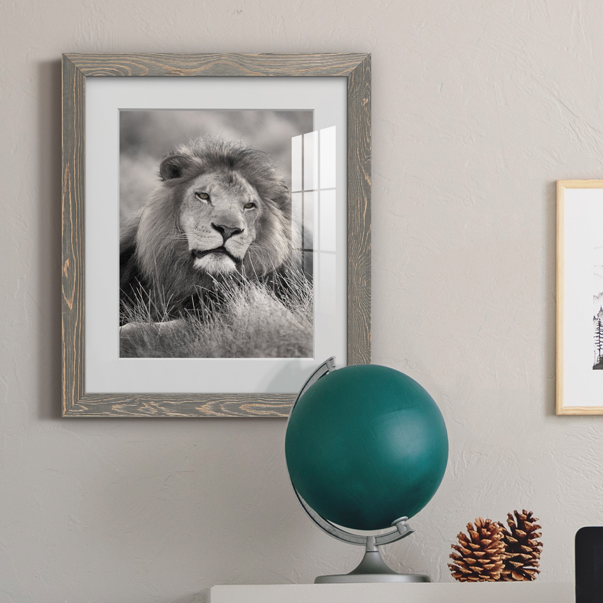 Pride of the Pride - Barnwood Framed Art Print