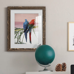 Palm Parrots - Barnwood