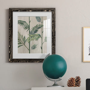 Modern Fronds II - Barnwood Framed Art Print
