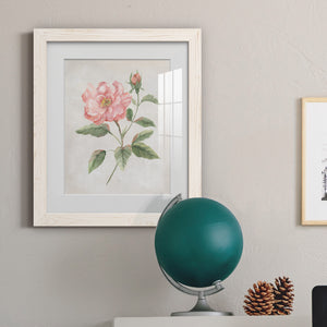 Grandiflora II - Barnwood Framed Art Print