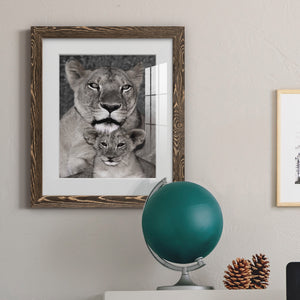 Lioness and Cub - Barnwood Framed Art Print