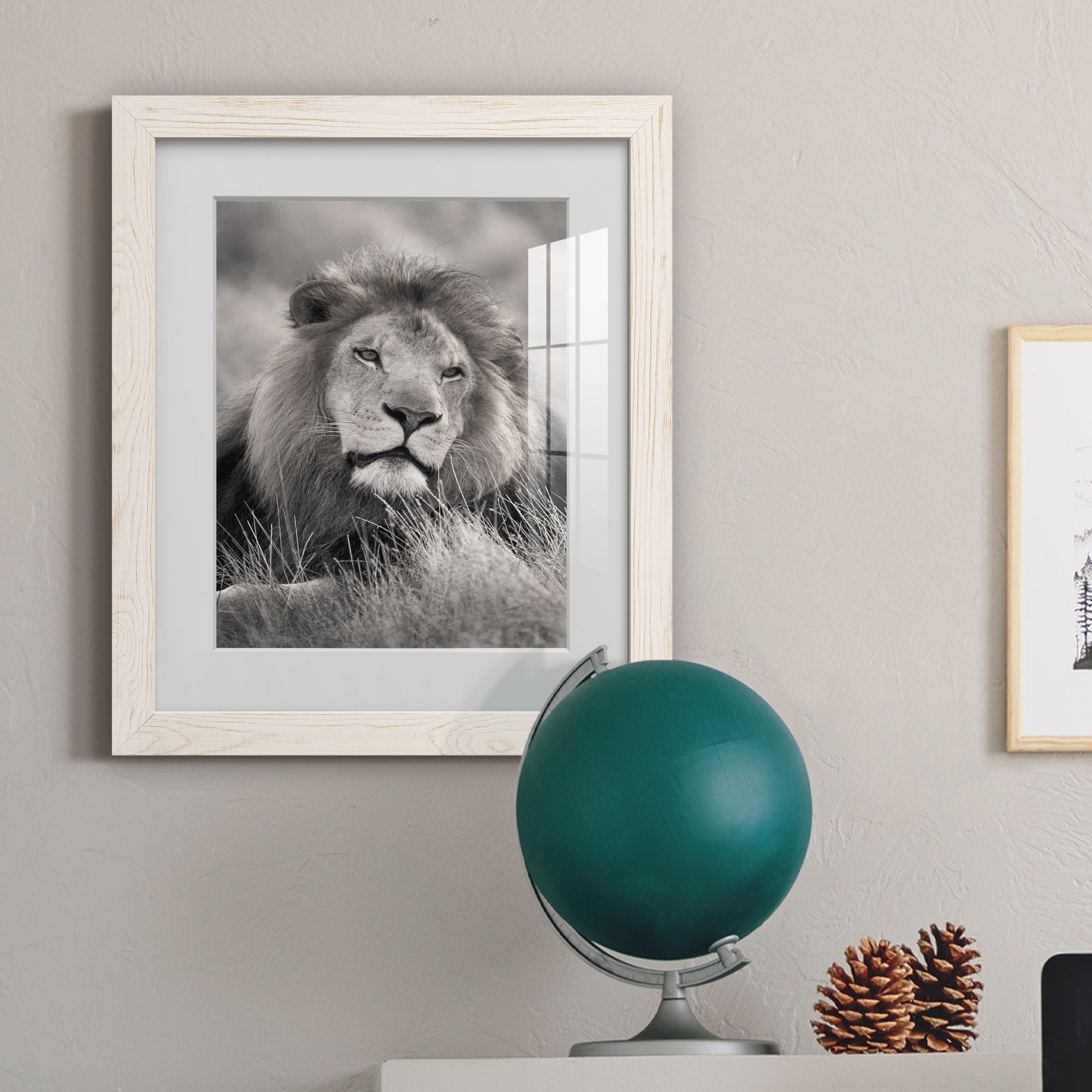 Pride of the Pride - Barnwood Framed Art Print