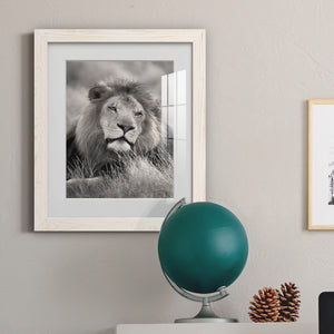 Pride of the Pride - Barnwood Framed Art Print