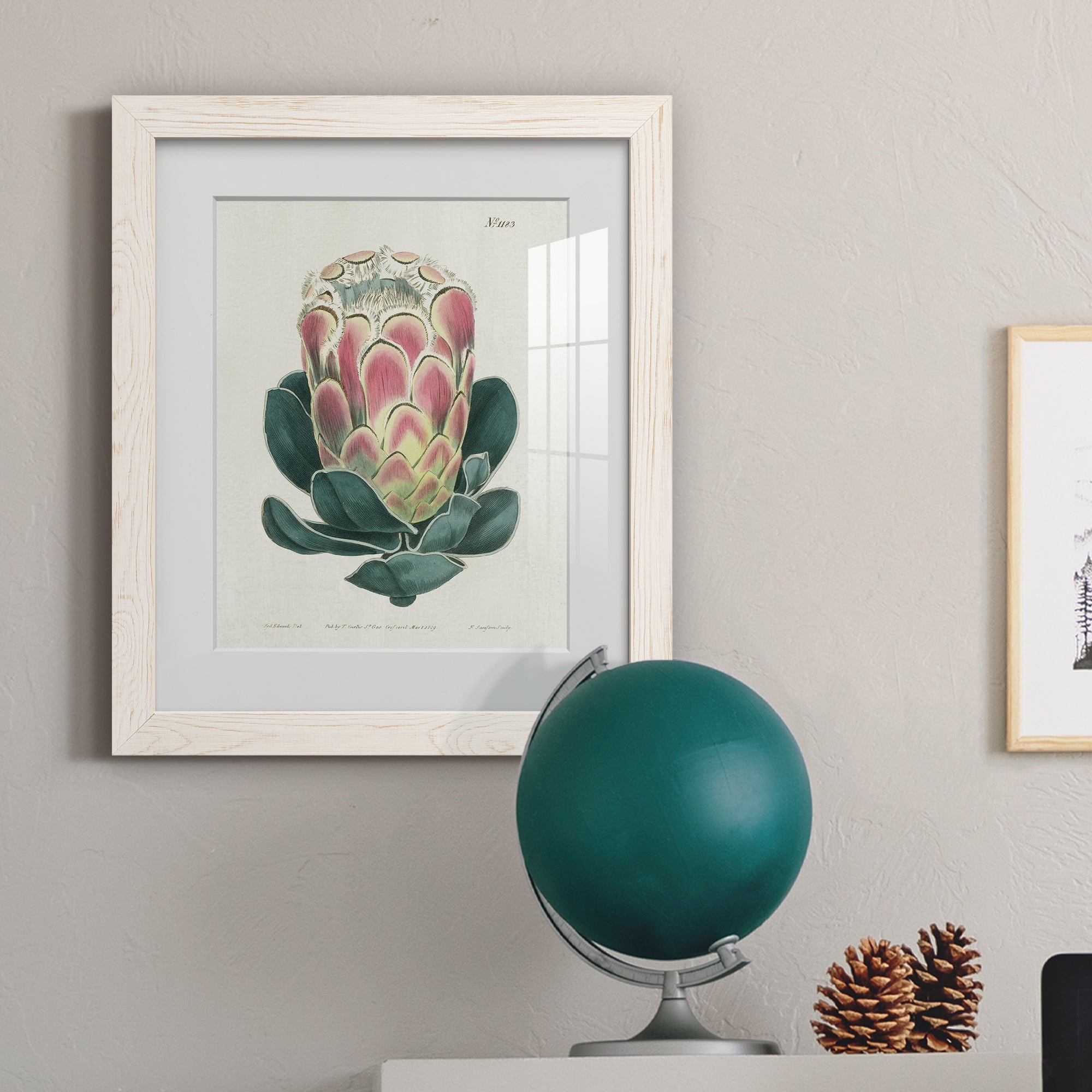 Protea N83 - Barnwood Framed Art Print