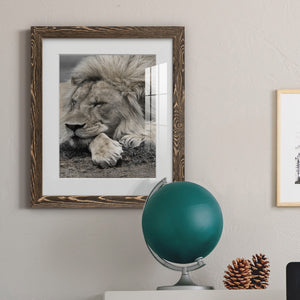 Sleepy Afternoon in Masai Mara - Barnwood Framed Art Print