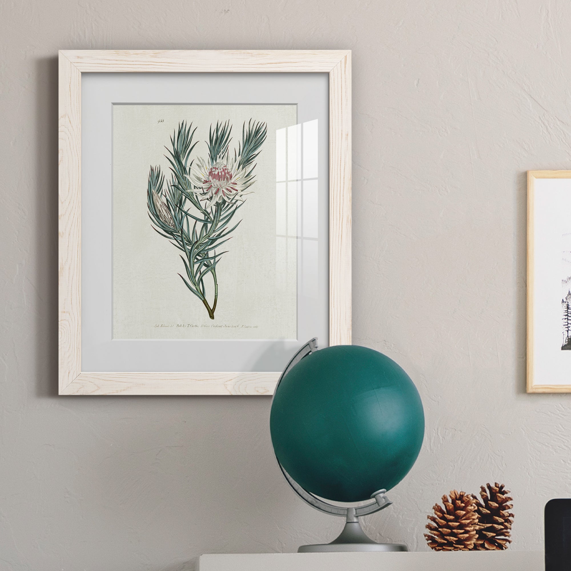 Protea N33 - Barnwood Framed Art Print