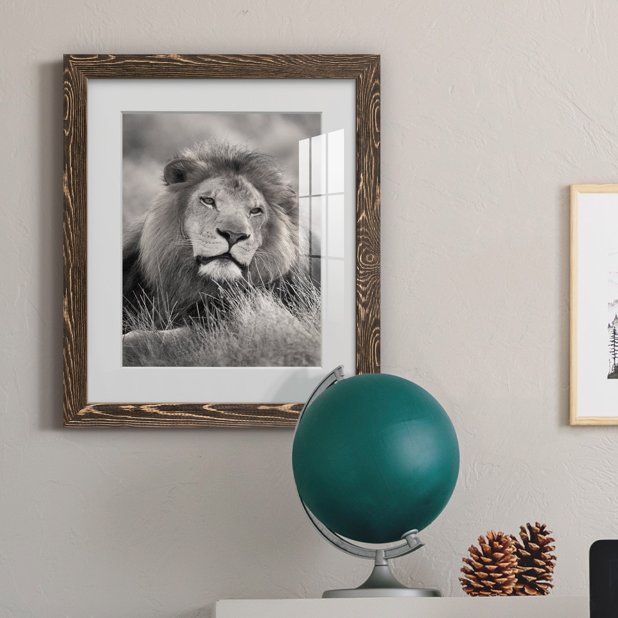 Pride of the Pride - Barnwood Framed Art Print