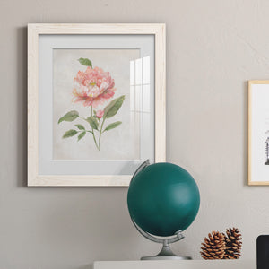 Grandiflora III - Barnwood Framed Art Print