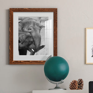 Tender Moment - Barnwood Framed Art Print