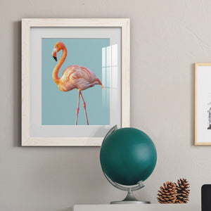 Flamingo - Barnwood