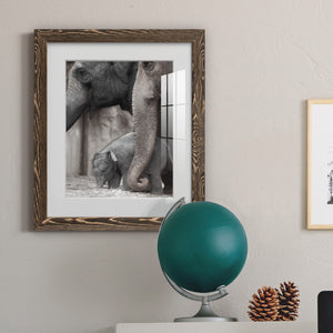 Family Moment - Barnwood Framed Art Print