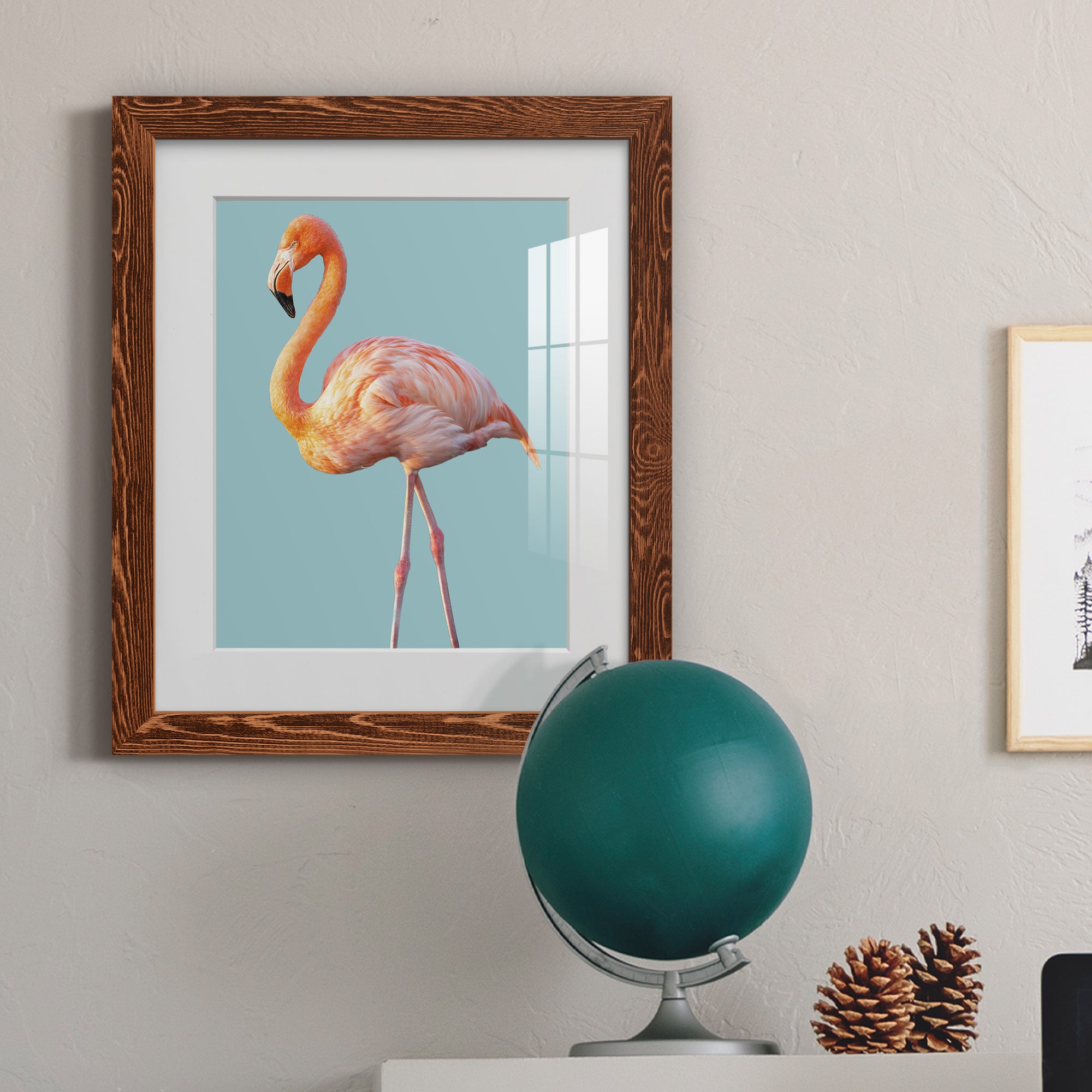 Flamingo - Barnwood