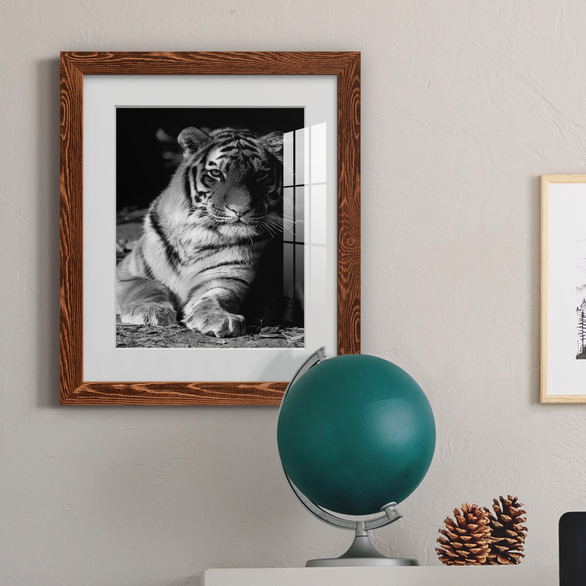 Tiger Repose - Barnwood Framed Art Print