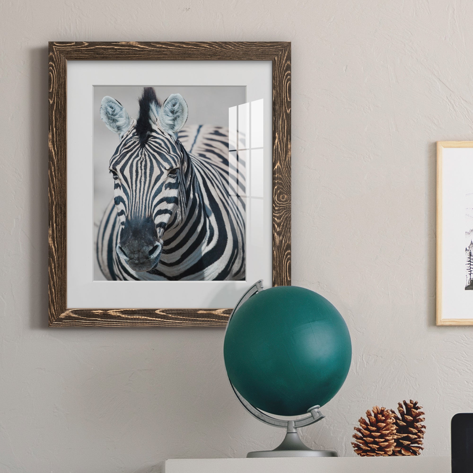 Namibia Zebra - Premium Framed Print - Distressed Barnwood Frame - Ready to Hang