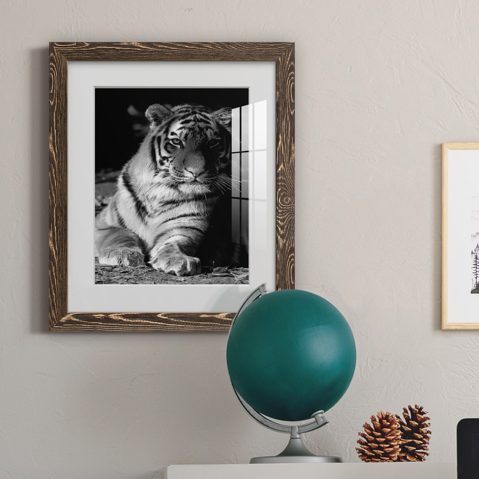 Tiger Repose - Barnwood Framed Art Print