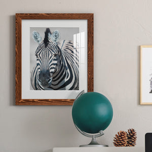 Namibia Zebra - Premium Framed Print - Distressed Barnwood Frame - Ready to Hang