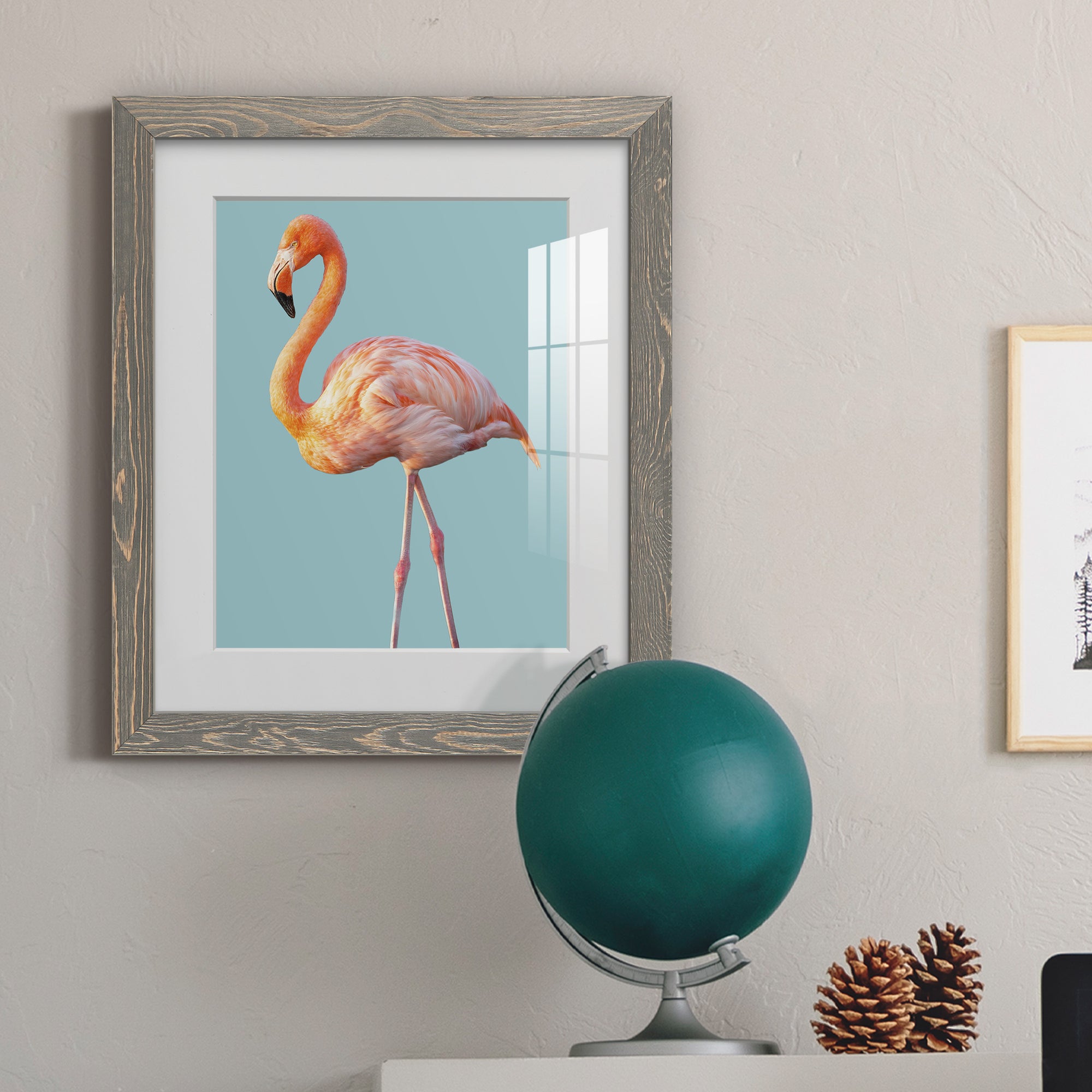 Flamingo - Barnwood
