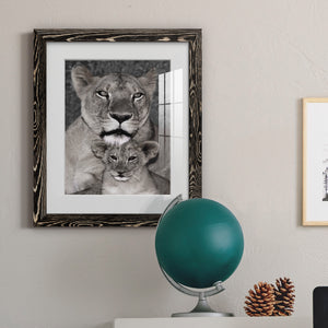 Lioness and Cub - Barnwood Framed Art Print