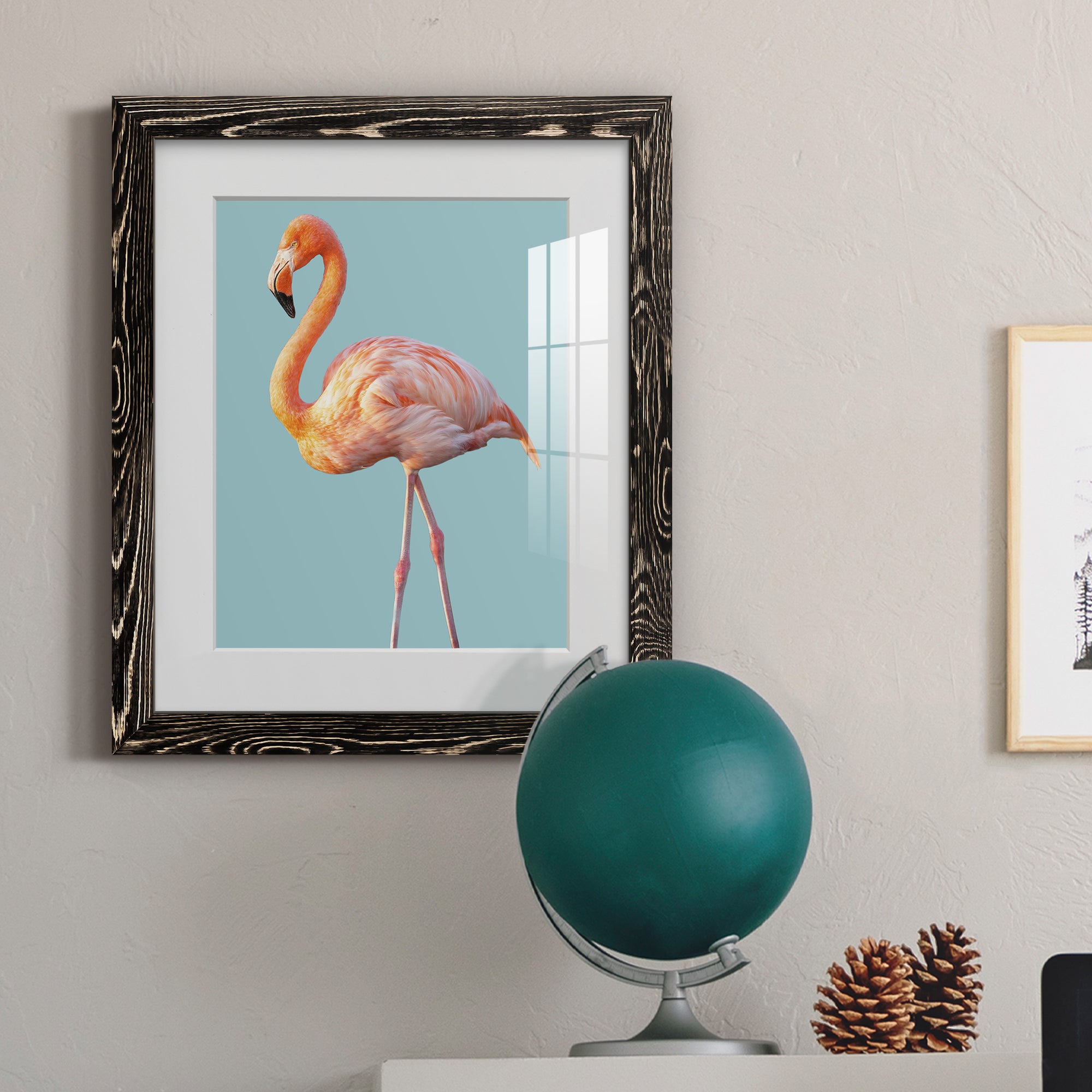 Flamingo - Barnwood