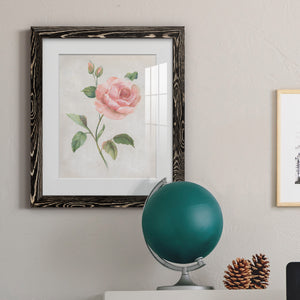 Grandiflora I - Barnwood Framed Art Print