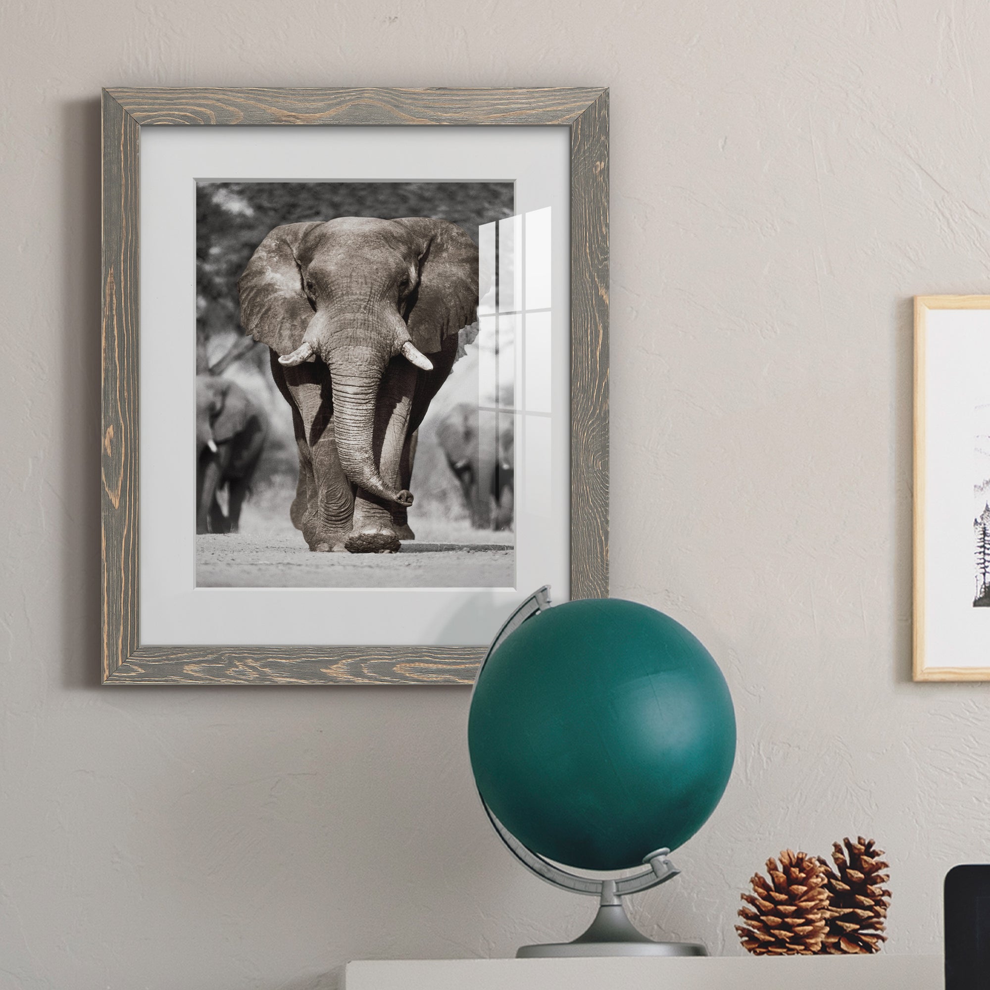 Botswana Patriarch - Barnwood Framed Art Print