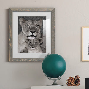 Lioness and Cub - Barnwood Framed Art Print