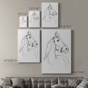 Bridle Portraits II - Canvas Art Print