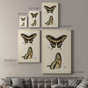 Butterfly Profile I - Canvas Art Print