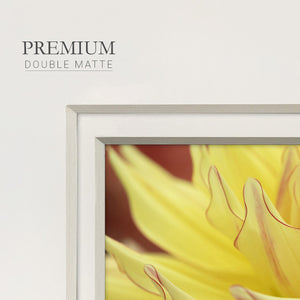 Blooms I- Premium Framed Print Double Matboard