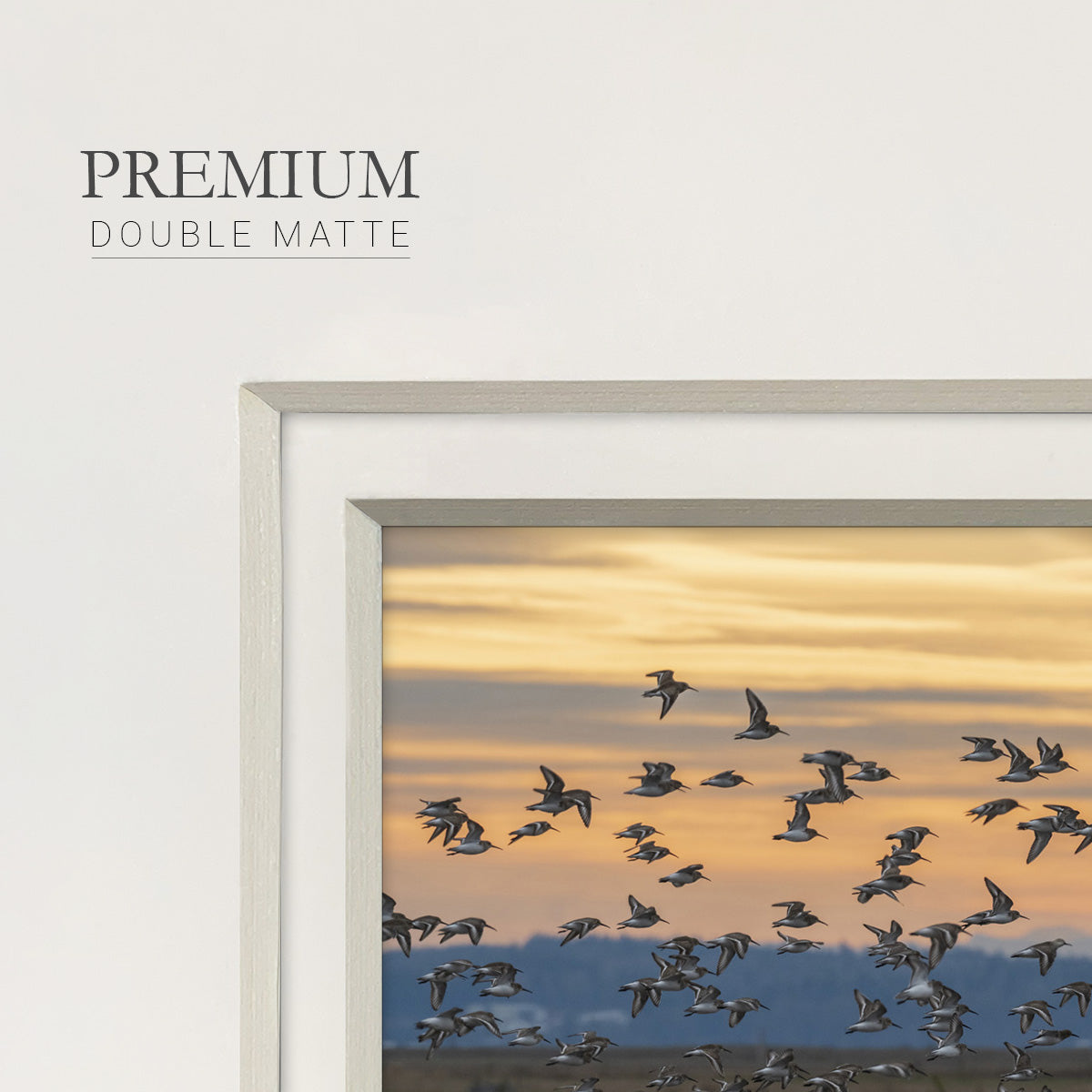 Sunset Flight- Premium Framed Print Double Matboard