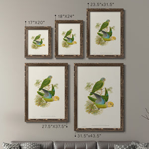 Lime & Cerulean Parrots I - Premium Framed Canvas 2 Piece Set - Ready to Hang