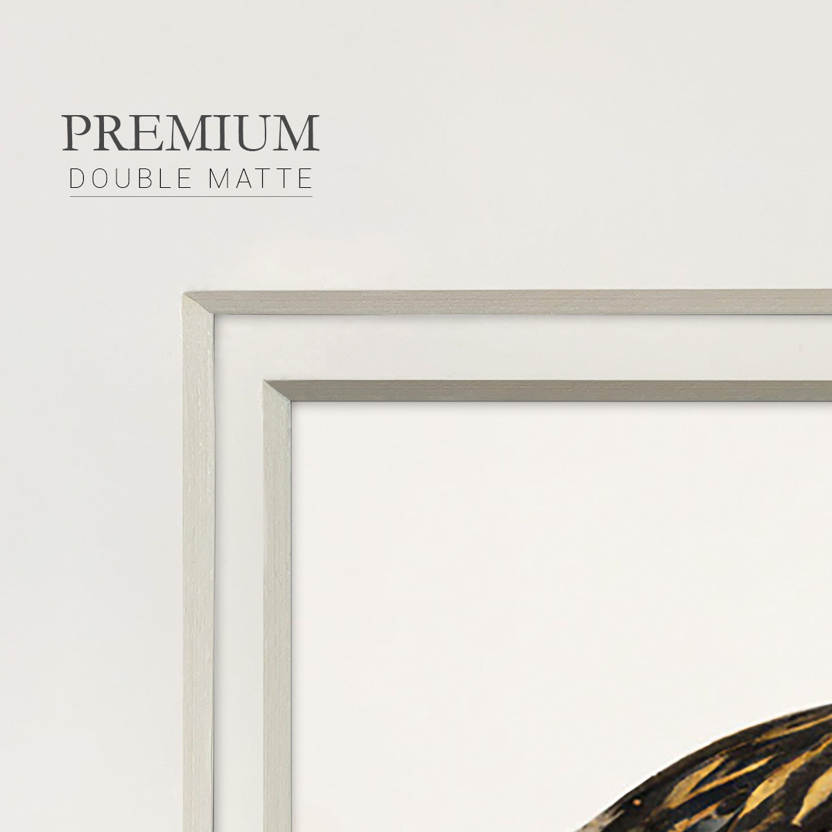 Golden Mallard Premium Framed Print Double Matboard