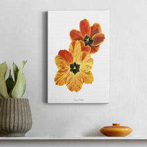 Olive's Tulips II Premium Gallery Wrapped Canvas - Ready to Hang