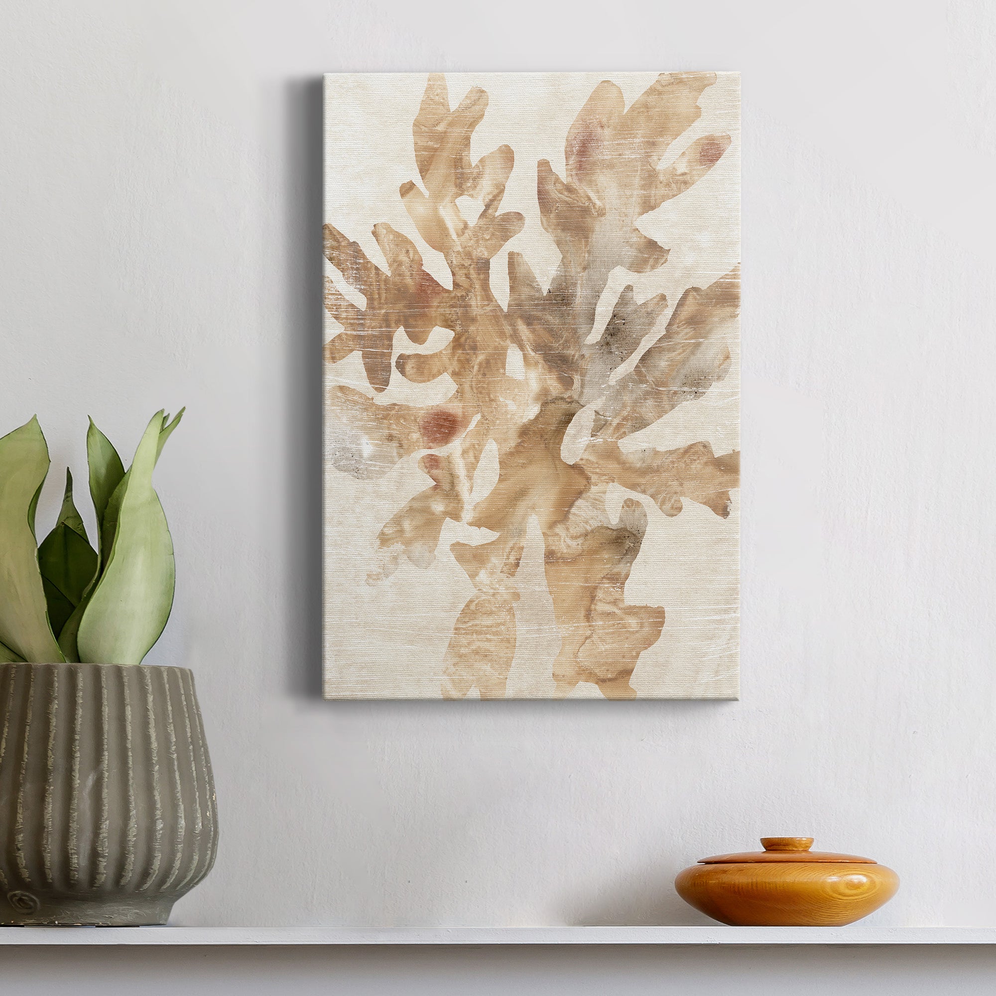Parchment Coral IV Premium Gallery Wrapped Canvas - Ready to Hang