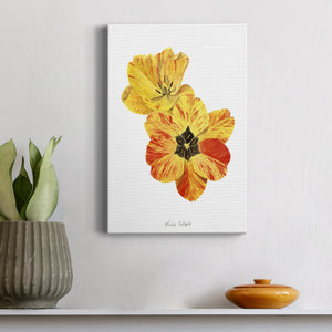 Olive's Tulips I Premium Gallery Wrapped Canvas - Ready to Hang