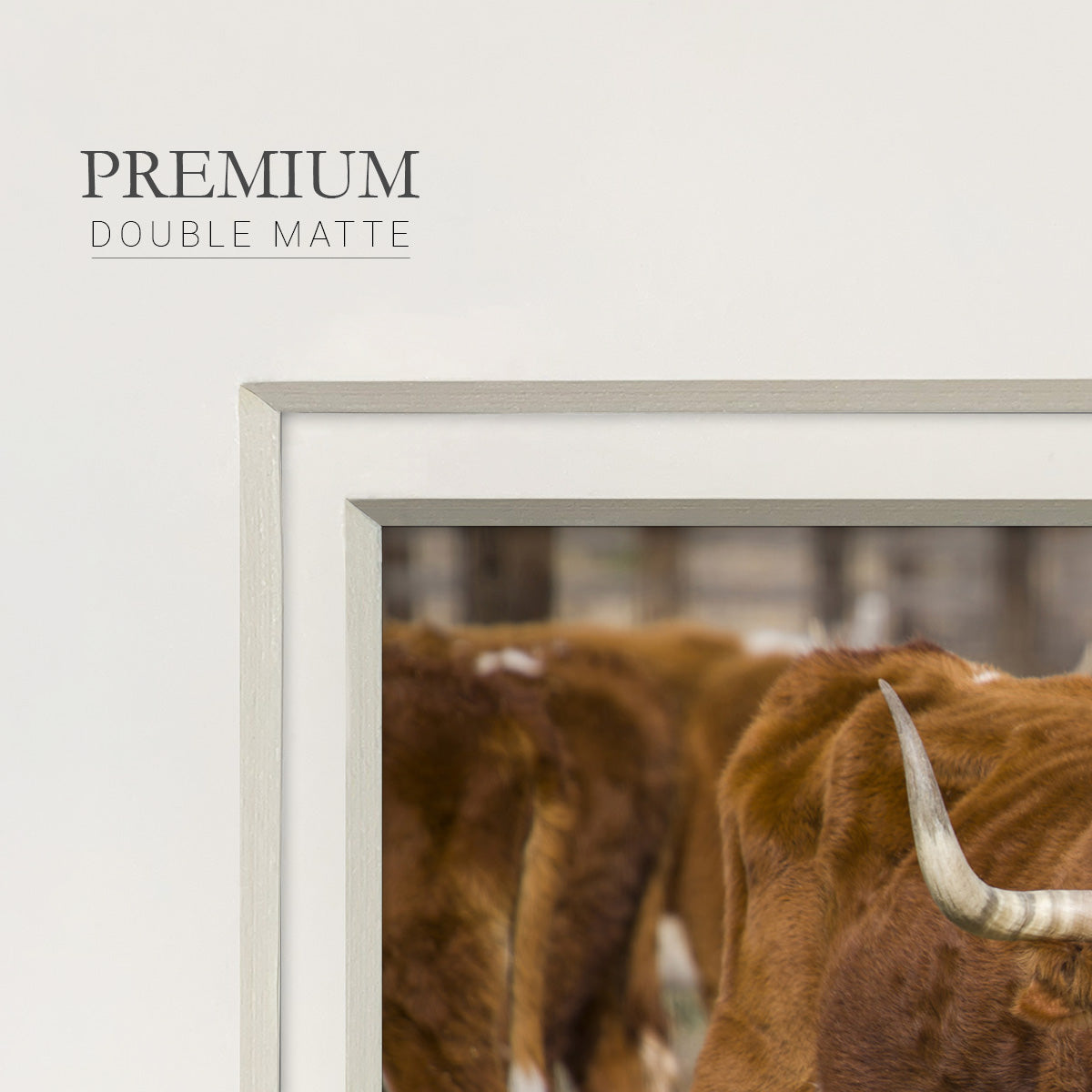 Longhorns- Premium Framed Print Double Matboard