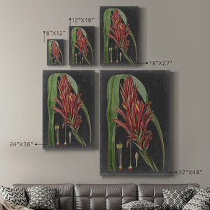 Dramatic Tropicals II Premium Gallery Wrapped Canvas - Ready to Hang