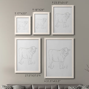 Limousin Cattle I - Barnwood Framed Canvas Set