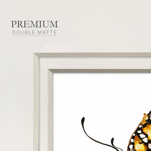 Wings II- Premium Framed Print Double Matboard