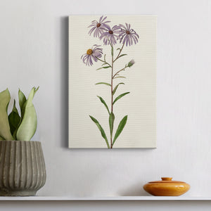 Mauve Garden Flowers III Premium Gallery Wrapped Canvas - Ready to Hang