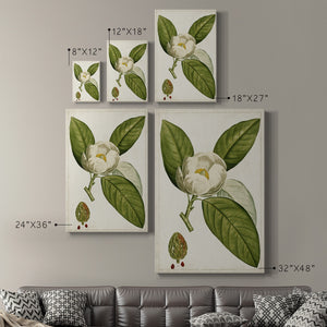 Antique Flowering Trees II Premium Gallery Wrapped Canvas - Ready to Hang