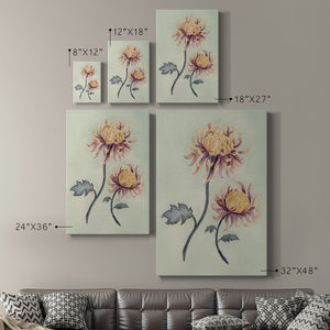 Chrysanthemum Beauty II Premium Gallery Wrapped Canvas - Ready to Hang