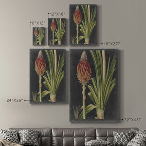 Dramatic Tropicals IV Premium Gallery Wrapped Canvas - Ready to Hang