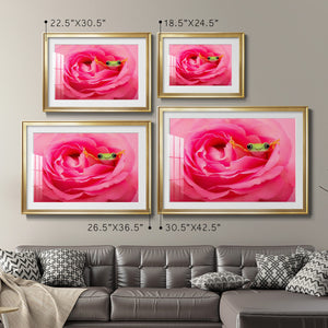 Hanging On VIII - Modern Framed Art Print
