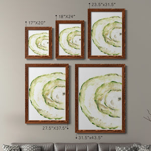 Lichen Halo V - Barnwood Framed Canvas Set