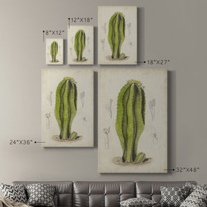 Antique Cactus VI Premium Gallery Wrapped Canvas - Ready to Hang