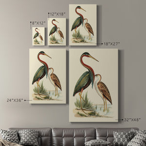 Water Birds III Premium Gallery Wrapped Canvas - Ready to Hang