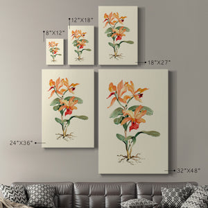 Orange Orchid Premium Gallery Wrapped Canvas - Ready to Hang