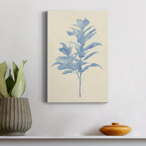 Verditer Fig I - Canvas Art Print